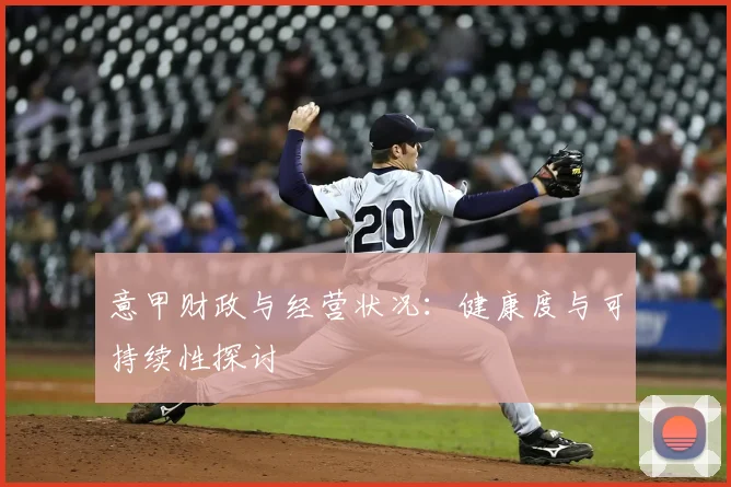 意甲财政与经营状况：健康度与可持续性探讨