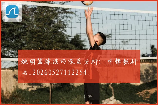 姚明篮球技巧深度分析：中锋教科书_20260527112254
